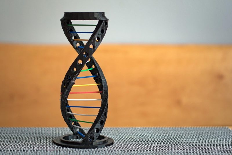 DNA模型と砂漠